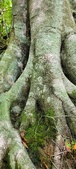 Enlarge photo 170