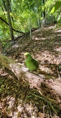Enlarge photo 178
