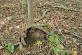 Enlarge photo 176