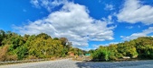 Enlarge photo 184