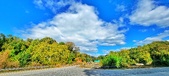 Enlarge photo 183