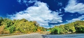 Enlarge photo 189