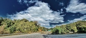 Enlarge photo 188