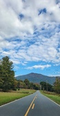 Enlarge photo 203