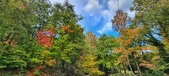 Enlarge photo 200