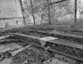 Enlarge photo 219