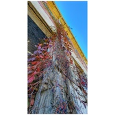 Enlarge photo 216