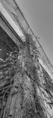 Enlarge photo 222