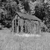 Enlarge photo 232