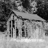 Enlarge photo 238