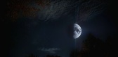 Enlarge photo 236