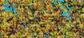 Enlarge photo 245