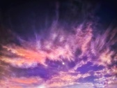 Enlarge photo 143