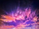 Enlarge photo 149