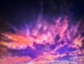 Enlarge photo 148