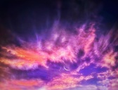 Enlarge photo 147