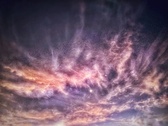 Enlarge photo 154