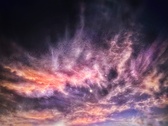 Enlarge photo 153