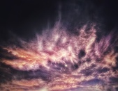 Enlarge photo 151