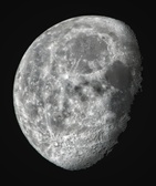 Enlarge photo 251