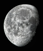 Enlarge photo 252
