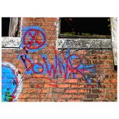 Enlarge photo 225