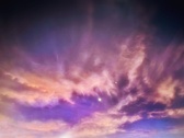 Enlarge photo 107