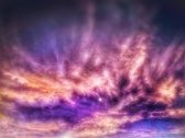 Enlarge photo 113