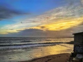 Enlarge photo 185