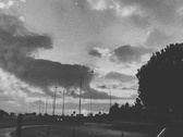 Enlarge photo 206
