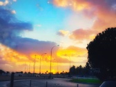 Enlarge photo 205