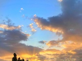 Enlarge photo 211