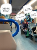 Enlarge photo 239