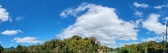 Enlarge photo 193