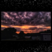 Enlarge photo 61