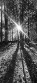 Enlarge photo 197