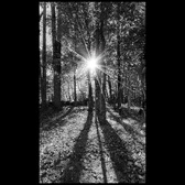 Enlarge photo 196
