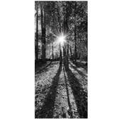 Enlarge photo 195