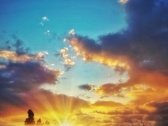Enlarge photo 209