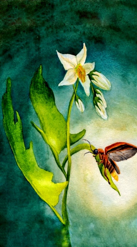 View Original Image