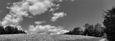 Enlarge photo 174