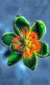 Enlarge photo 157