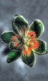 Enlarge photo 156
