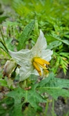Enlarge photo 6