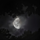 Enlarge photo 131
