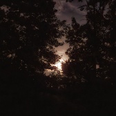 Enlarge photo 119