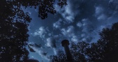 Enlarge photo 169