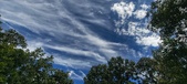 Enlarge photo 184