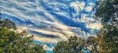 Enlarge photo 183