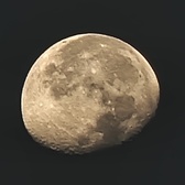 Enlarge photo 192